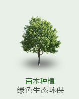 苗木種植